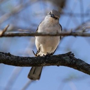 Meet your Posher, Sinjana